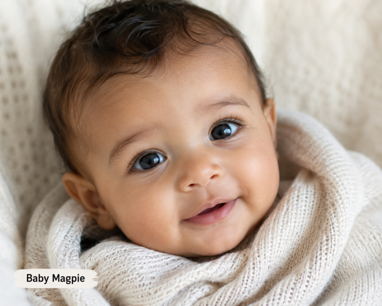 Best Baby Magpie: Identification, Care, and Development Guide 2026